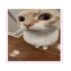 Jsjsjsjs xd 18