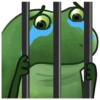 Frog 6