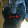 Feliz AMOR 8