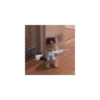 Cute cat 24