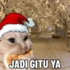 Natal core 6