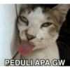 Meme 9