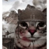 Meme kucing viral 8