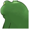 Frog 13