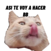 CHUPA 16