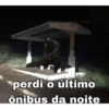 Memes brasil 12