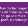 Memes brasil 28