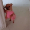 Meme tiktok5🕺🏻 8
