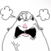 Hamster 5