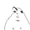 Hamster 6