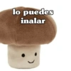 🧿Memes Dorga2 Pinguinil🐧🐧🍄 8