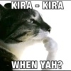 Cat meme  9