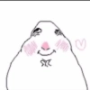 Hamster 7