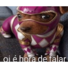 Oi posso falar todas as versoe 25