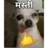 Moj masti  9