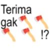 Anomali kapak  8