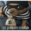 Oi posso falar todas as versoe 13