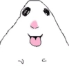 Hamster 18