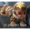 Oi posso falar todas as versoe 18