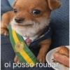 Oi posso falar todas as versoe 15