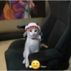 Absydvdks 30