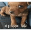 Oi posso falar todas as versoe 29