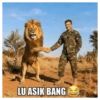 Singa gokil meme 😹 8