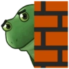 Frog 19