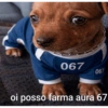 Oi posso falar todas as versoe 5
