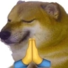 Dog meme 11