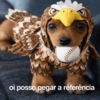 Oi posso falar todas as versoe 17