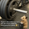 Academia  6