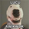 Dog meme 7