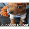 Oi posso falar todas as versoe 19