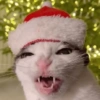 Natal core 8