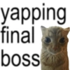 Cat meme  13