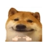 Dog meme 10