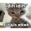 Cat meme  7