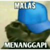 Meme kucing viral 11