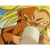 DB Random 24