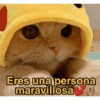 Feliz AMOR 12