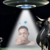 2021 26
