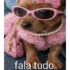 Oi posso falar todas as versoe 30