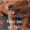 Oi posso falar todas as versoe 8