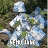 UANG 15