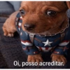Oi posso falar todas as versoe 6