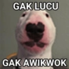 Dog meme 6