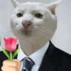 Feliz AMOR 7
