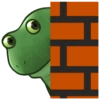 Frog 15