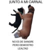 CHUPA 17